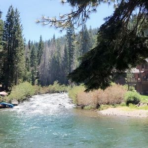 Meet your Posher, Audrey